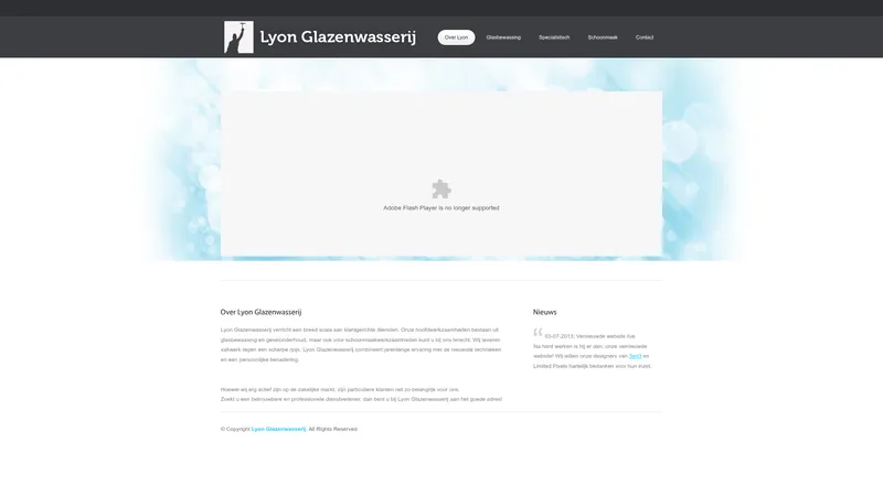 Website van Lyon Glazenwasserij